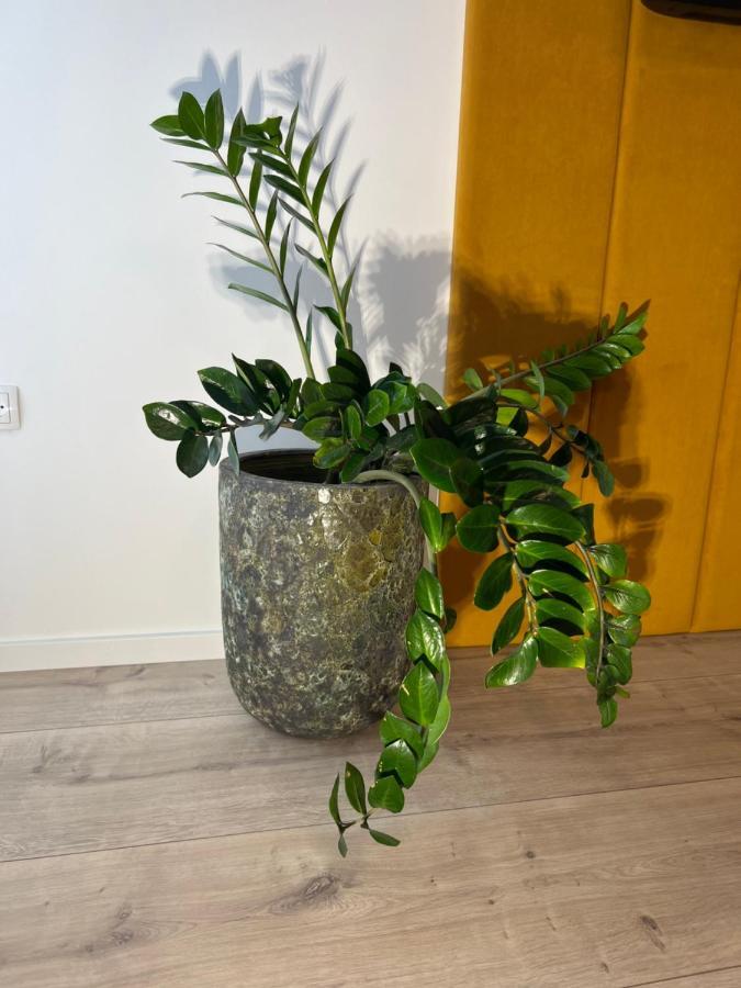 Sofia Apartment & Zimmer Sillweg Naehe Rebull Ring Fohnsdorf Buitenkant foto