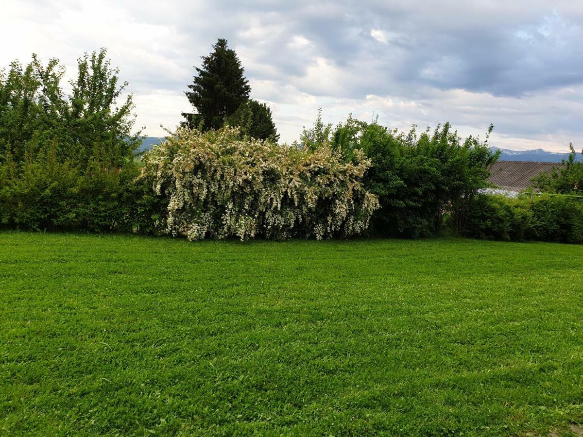 Sofia Apartment & Zimmer Sillweg Naehe Rebull Ring Fohnsdorf Buitenkant foto